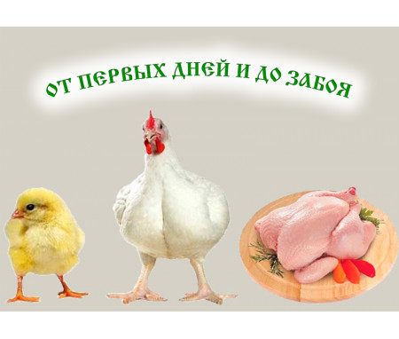 Инструкция по содержа...